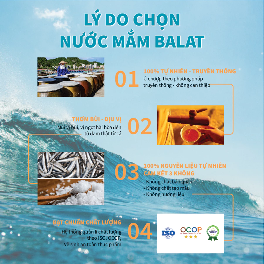 [LOẠI TIẾN VUA] Nước Mắm Cá Cơm Nguyên Chất Ba Lạt Chai Thủy Tinh Cao Cấp, Nước Mắm Truyền Thống - 2