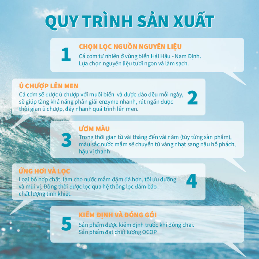 [LOẠI TIẾN VUA] Nước Mắm Cá Cơm Nguyên Chất Ba Lạt Chai Thủy Tinh Cao Cấp, Nước Mắm Truyền Thống - 3