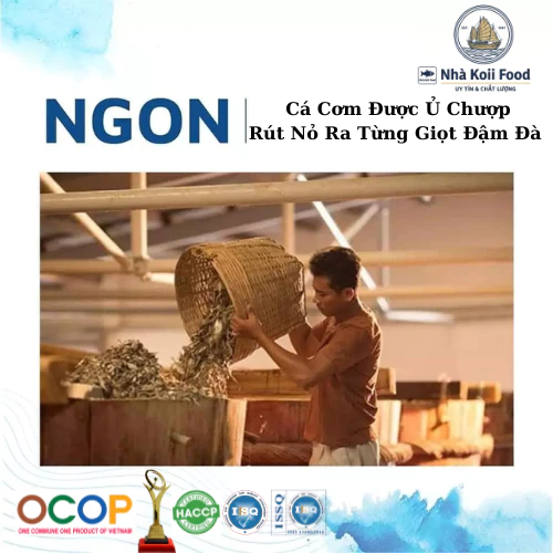 Nước Mắm Nhỉ Nguyên Chất Chuyên Nấu 23N, Nước Mắm Nhà Koii Thơm Ngon Truyền Thống - 5