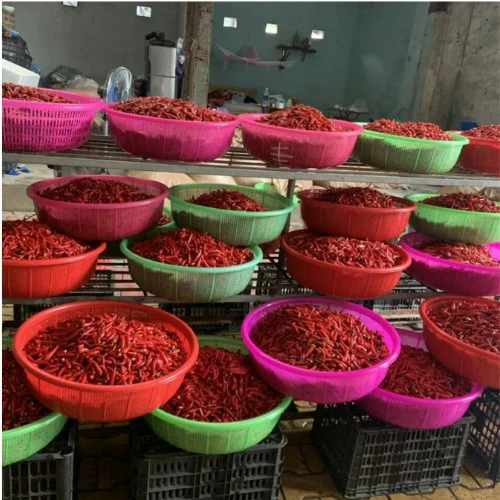 TƯƠNG ỚT SIÊU CAY TƯƠNG ỚT MƯỜNG KHƯƠNG ĐẶC SẢN LÀO CAI MIỀN TÂY BẮC BỘ (CAN 5L) TOMK02 - 2