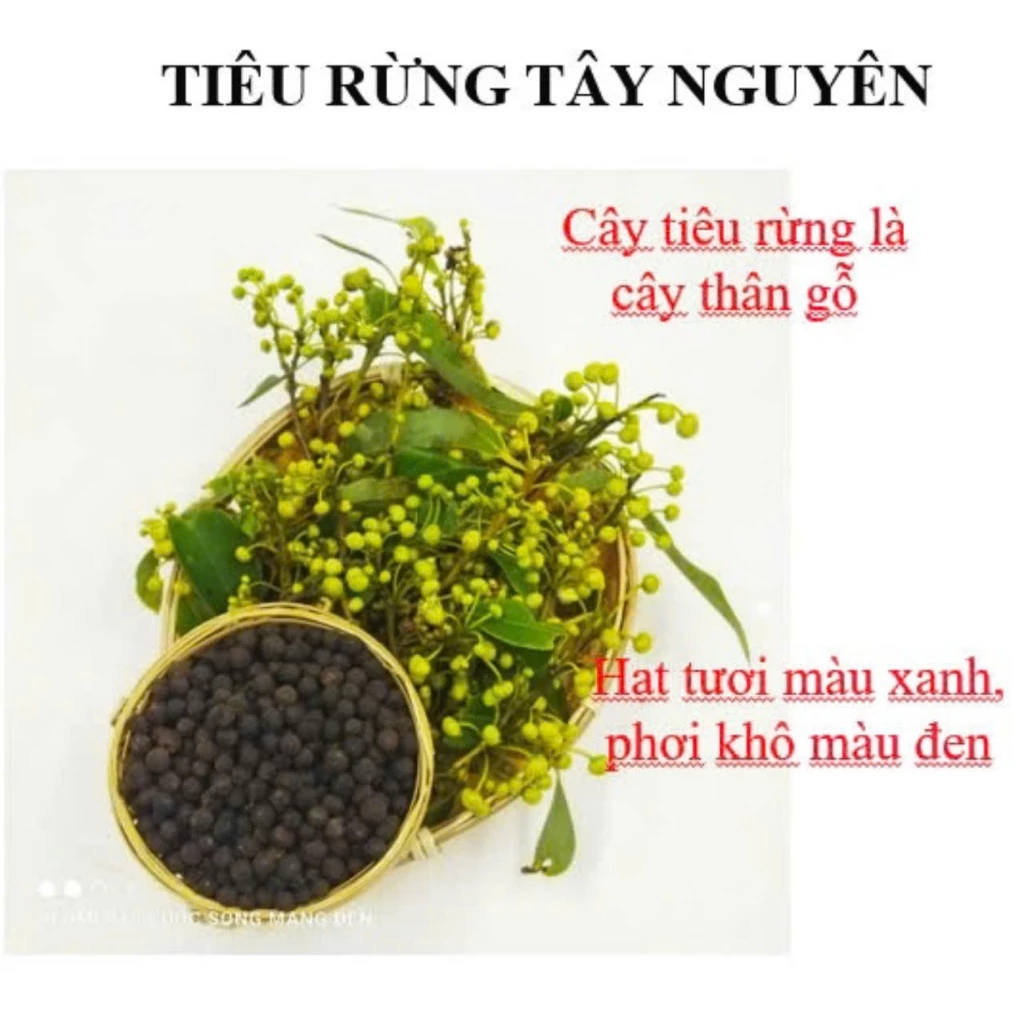 Tiêu đen nguyên hạt KHÔNG cay 100 gram tiêu rừng Tây Nguyên mùi sả chanh - 2