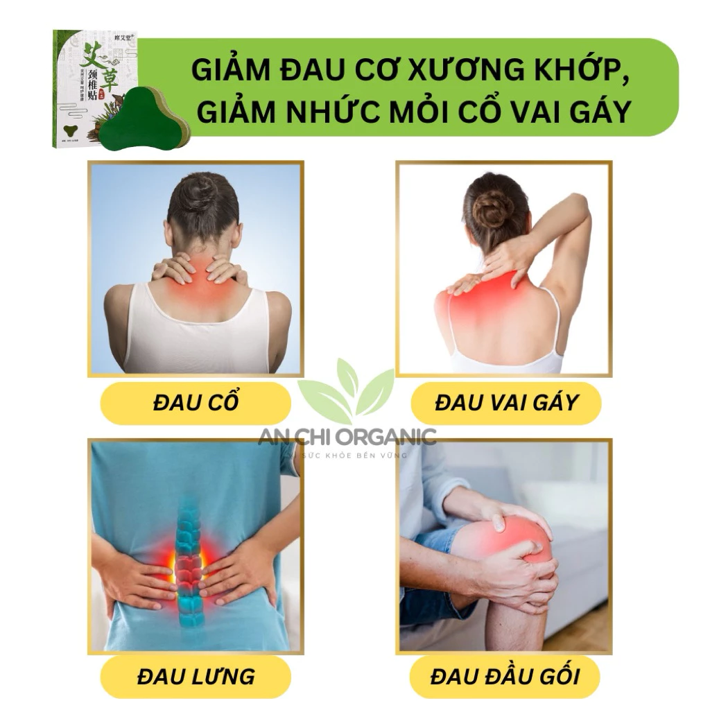 Cao Dán Ngải Cứu Giảm Đau Xương Khớp, Giảm Nhức Mỏi Cổ Vai Gáy Lưng Đầu Gối (Hộp 12 Miếng) An Chi Organic - 2