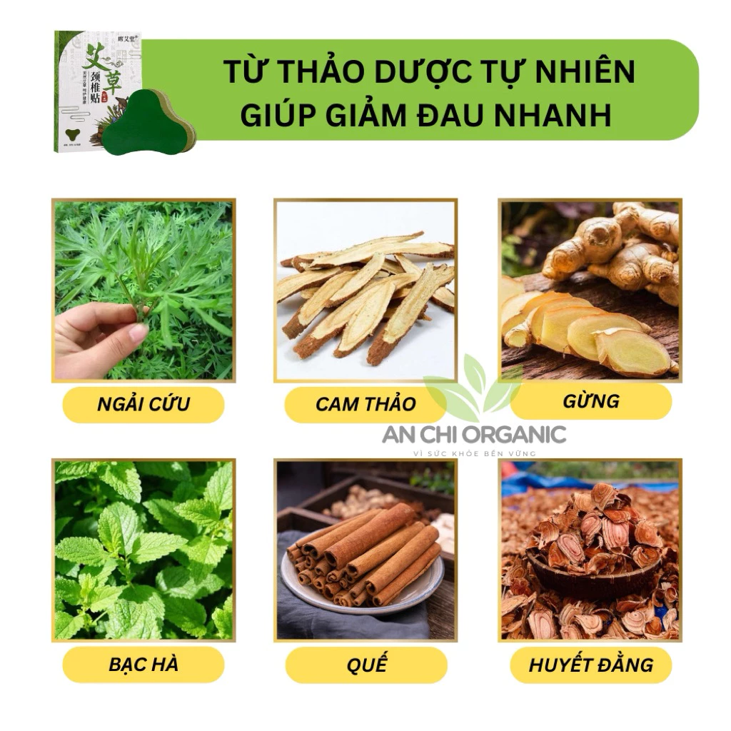 Cao Dán Ngải Cứu Giảm Đau Xương Khớp, Giảm Nhức Mỏi Cổ Vai Gáy Lưng Đầu Gối (Hộp 12 Miếng) An Chi Organic - 5