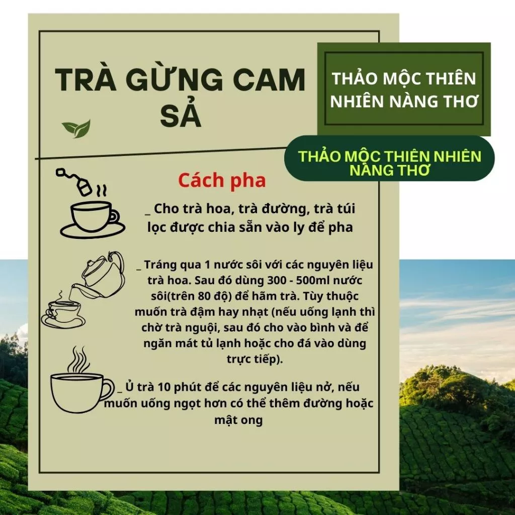 TRÀ CAM SẢ - TRÀ CAM SẢ GỪNG LÁ DỨA - Tăng Sức Đề Kháng - Trà giải Cảm T23 - 3