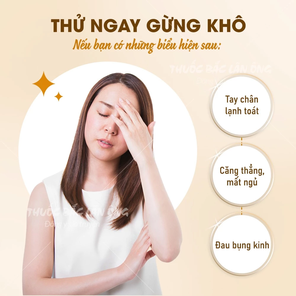 Gừng khô thái sợi 100g, gừng sạch thái lát tự chọn, trà gừng thơm cay - Lãn Ông - 6