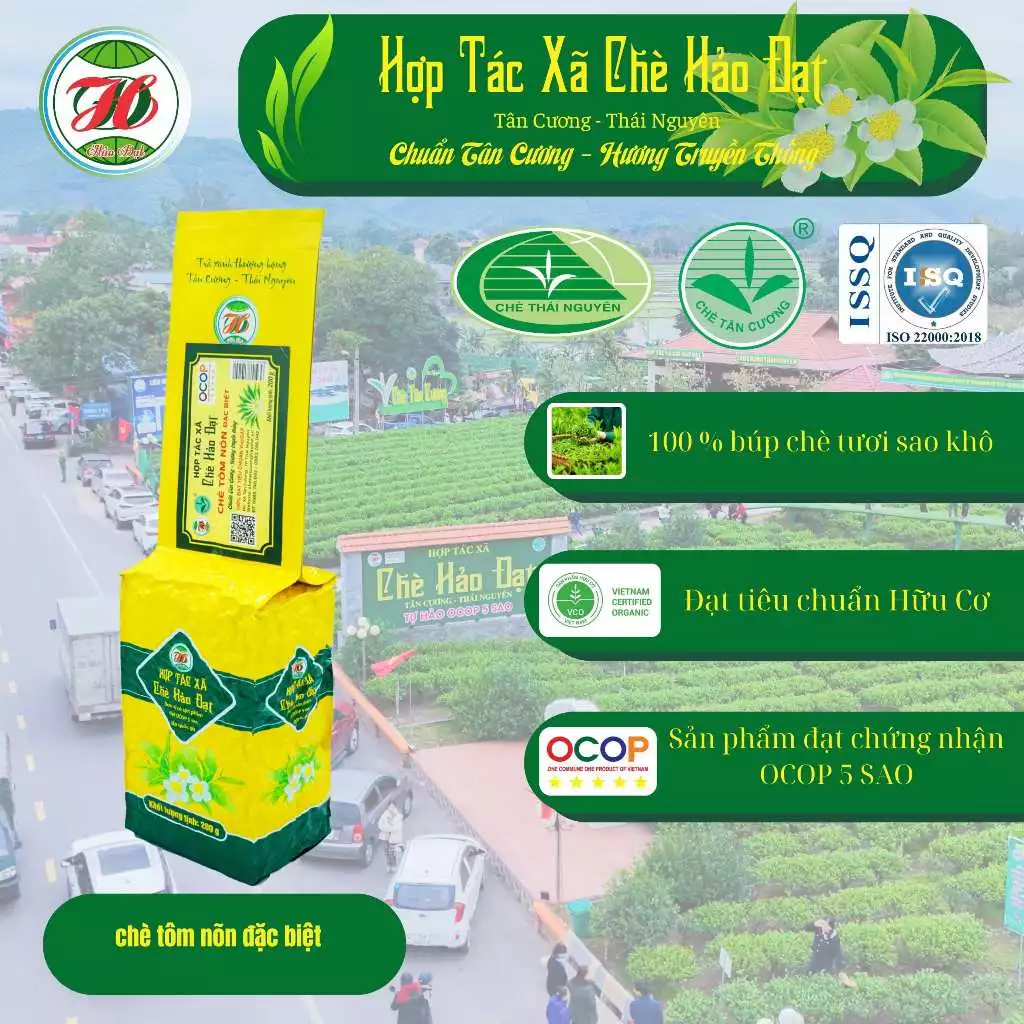 CHÈ TÔM NÕN ĐẶC BIỆT / HTX Chè Hảo Đạt - Tân Cương - Thái Nguyên