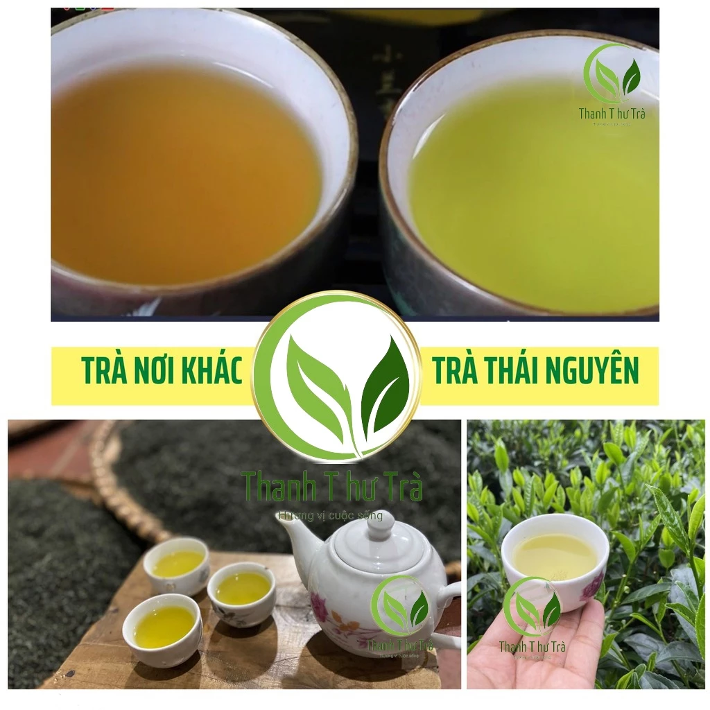 500g - Chè Thái Nguyên xanh, Trà Thái Nguyên, thơm, ngon, ngọt nước hậu - Loại 120k/1kg