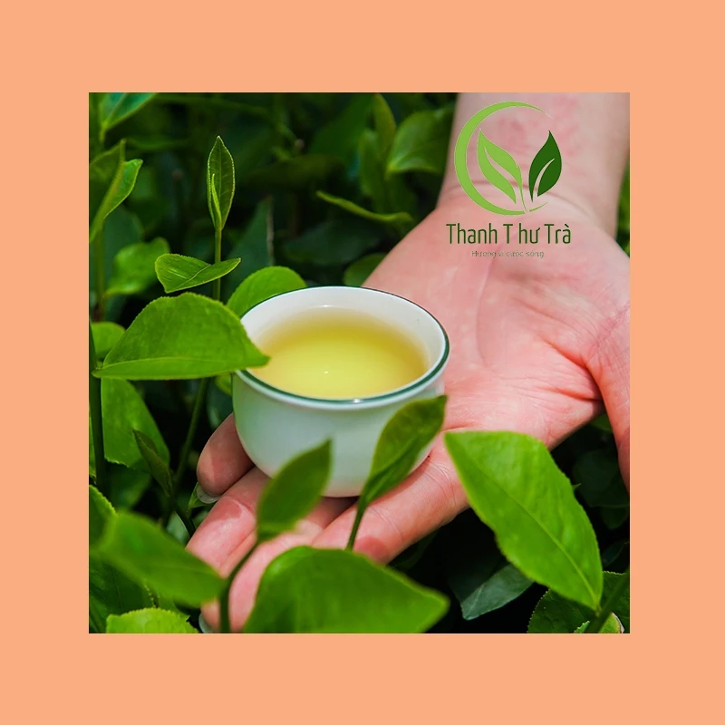 500g - Chè Thái Nguyên xanh, Trà Thái Nguyên, thơm, ngon, ngọt nước hậu - Loại 120k/1kg - 4