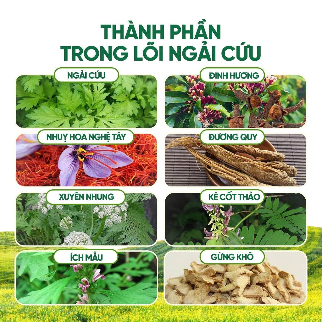Combo Thảm Và Gối Ngải Cứu Hoàng Thịnh An Cao Cấp Chính Hãng, Thải Điện, Đệm Sưởi Ngải Cứu Đông Y - 3