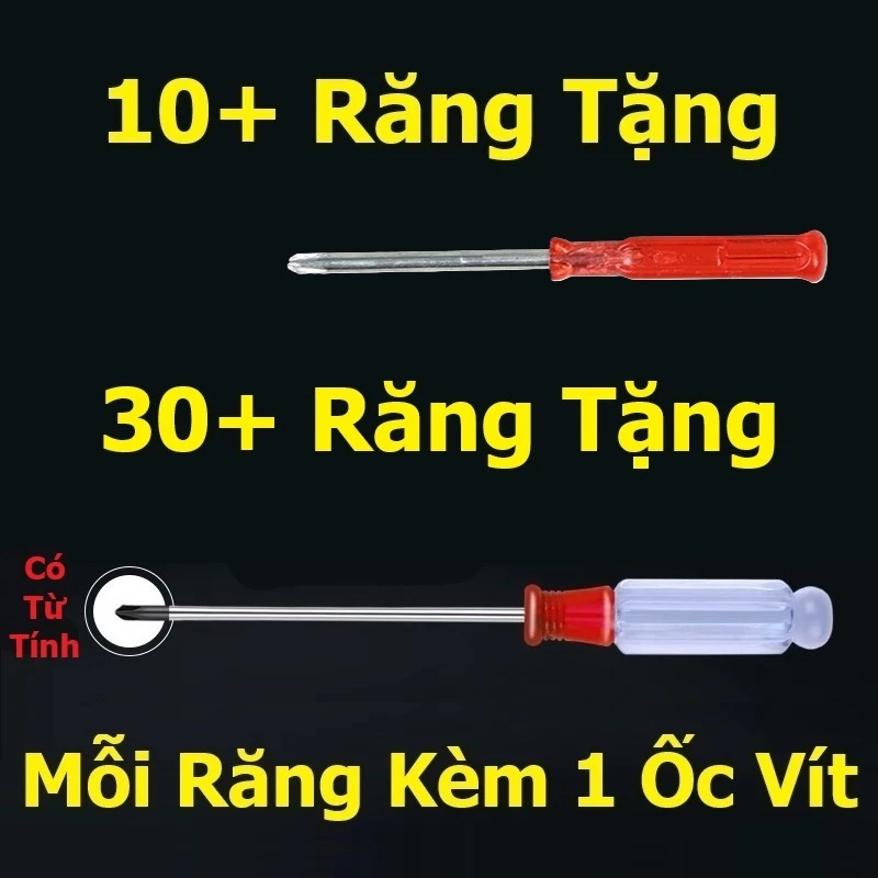 [Hỏa Tốc] Răng Nhựa Thực Hành Nha Khoa - Răng Mô Hình Cho Sinh Viên Tập Mài Cùi | Tặng Kèm Ốc Vít - 2