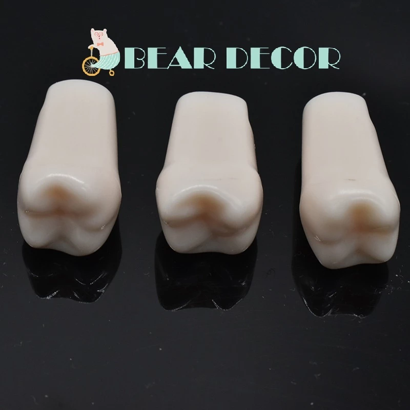 [Hỏa Tốc] Răng Nhựa Thực Hành Nha Khoa - Răng Mô Hình Cho Sinh Viên Tập Mài Cùi | Tặng Kèm Ốc Vít - 4