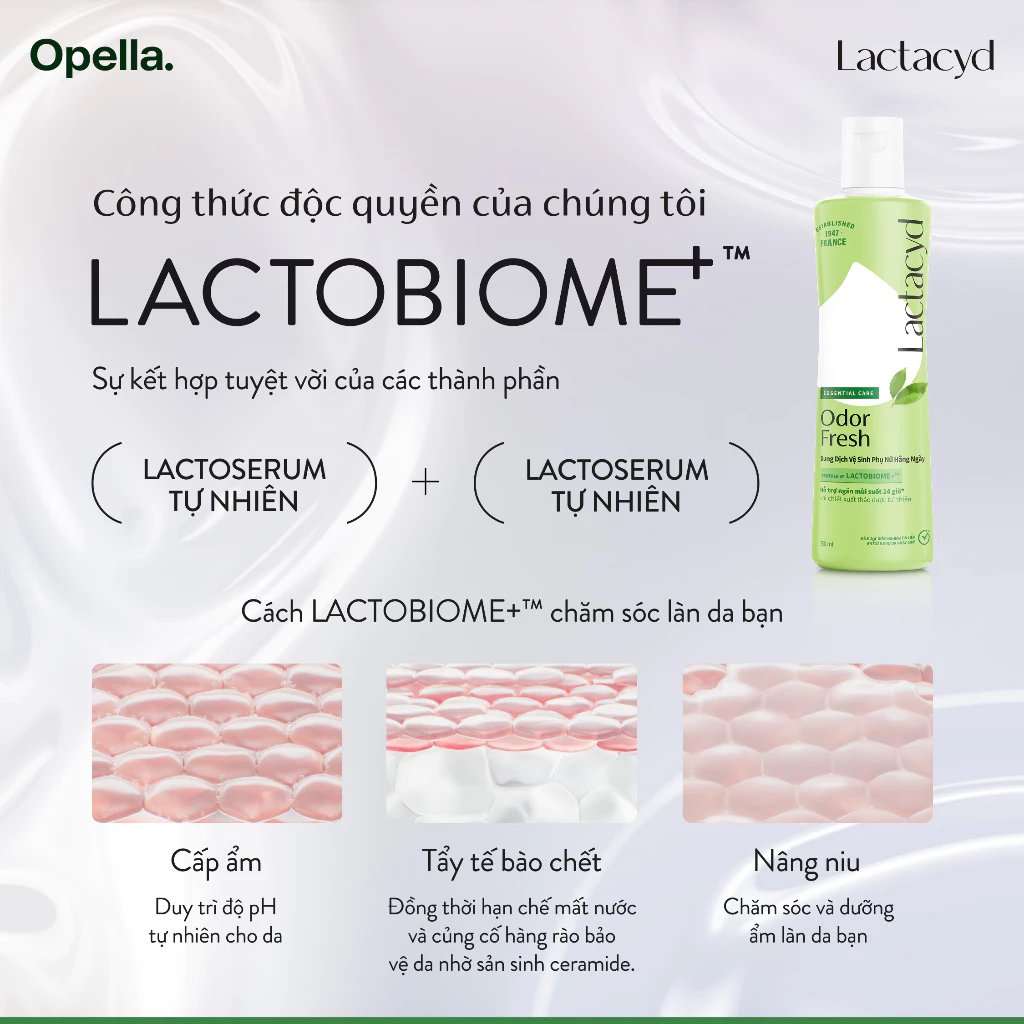 [Quà tặng không bán Lactacyd] Bộ 3 chai DDVS Phụ Nữ Lactacyd Odor Fresh Ngăn Mùi Cả 60ml - 4