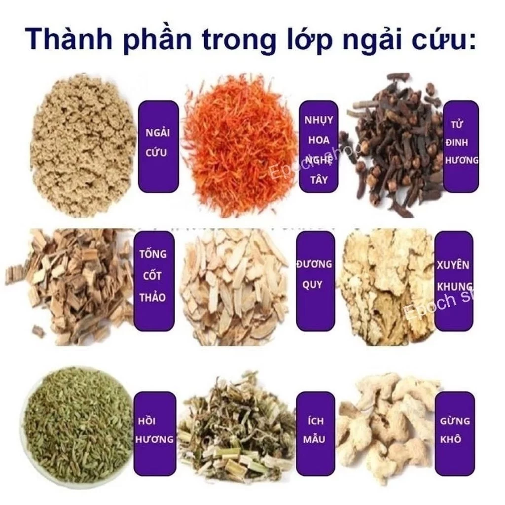 Combo Gối Và Thảm Ngải Cứu Hoàng Thịnh An Cao Cấp Chính Hãng, Nệm Ngải Cứu Đông Y - 6