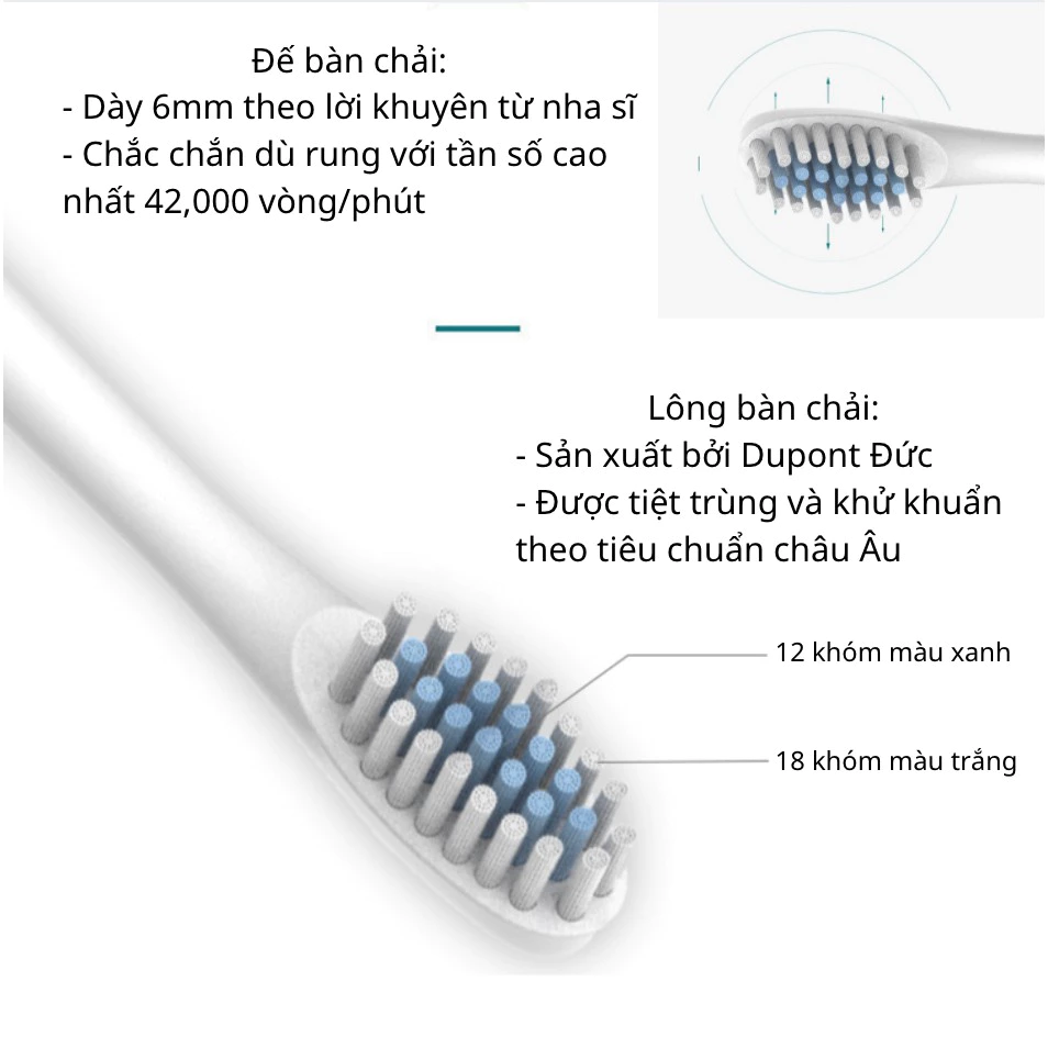 GÓI DỊCH VỤ BẢO HÀNH 1 NĂM CHO Bàn Chải Điện Đánh Răng Lông Mềm Chống Nước Kèm 4 Đầu Thay Thế - 2