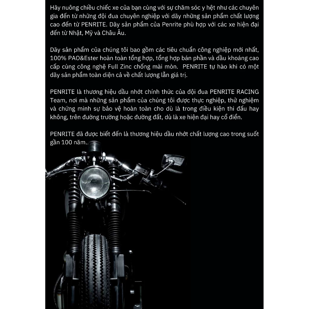 Phụ Gia Vệ Sinh Hệ Thống Xăng Penrite Octane Booster 375ml - 3