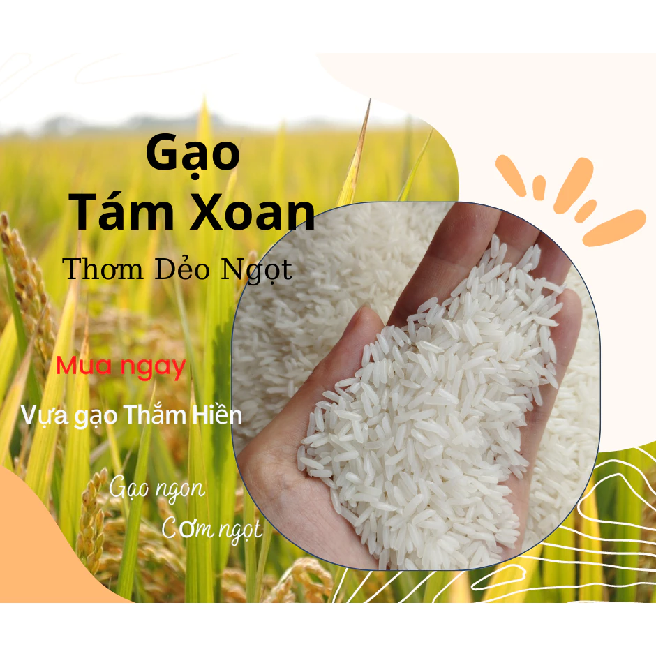 Gạo Tám Xoan,(Bao 10kg)Dẻo Vừa Dai Cơm ,Mềm Thơm nhẹ Cơm Dễ Nấu