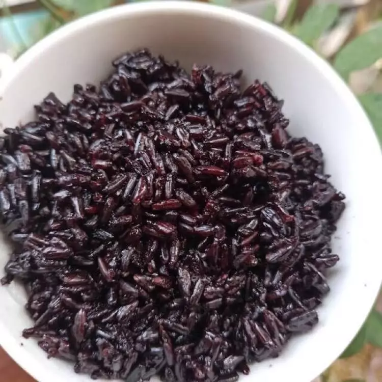 Gạo lứt dẻo Điện Biên ăn kiêng, giảm cân, cho người tiểu đường, túi 1kg- Gạo lứt Mai Xuân - 5