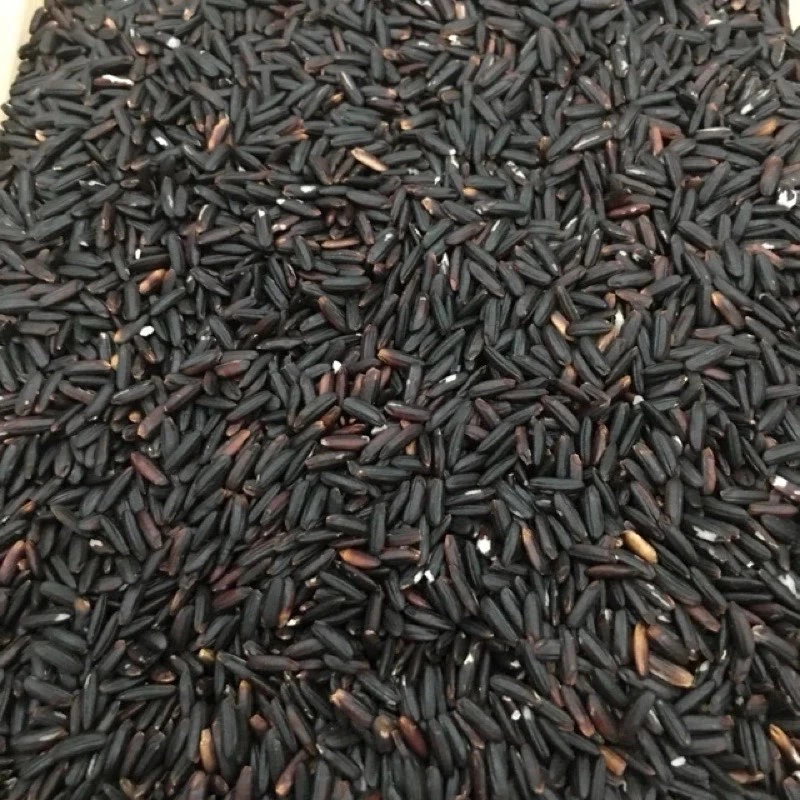 1kg Gạo Lứt Đen Điện Biên (LOẠI NGON) - Gạo Lứt Đen Hữu Cơ Cho Người Ăn Kiêng - Gạo Lứt Dẻo Thơm - 2