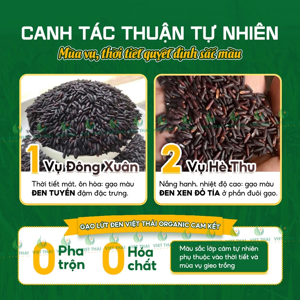 [Combo 7Kg Siêu Hời] Gạo Lứt Đen Việt Thái Organic Gạo Lứt Không Cần Ngâm Dẻo Mềm Ít Calo Eat Clean - 3