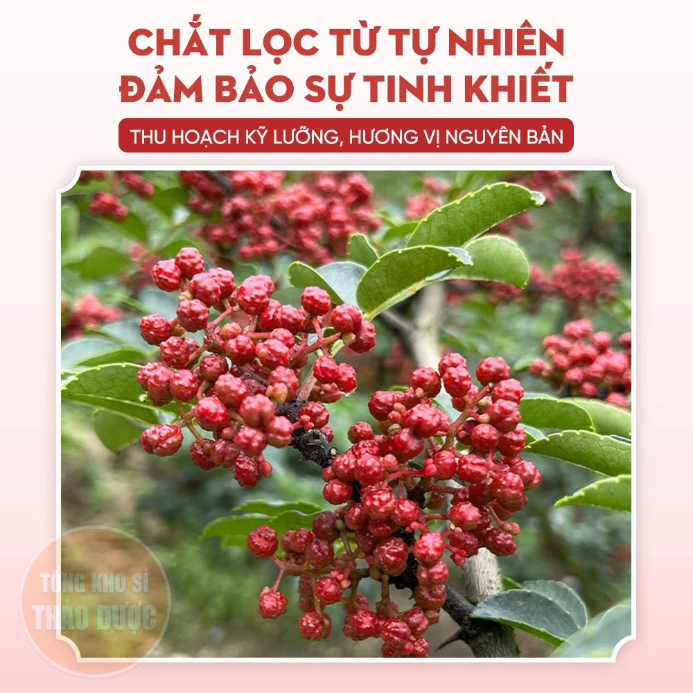Hạt tiêu tứ xuyên 100g, xuyên tiêu đỏ khô, hoa tiêu làm gia vị, lẩu cay tứ xuyên, thơm, cay - 4