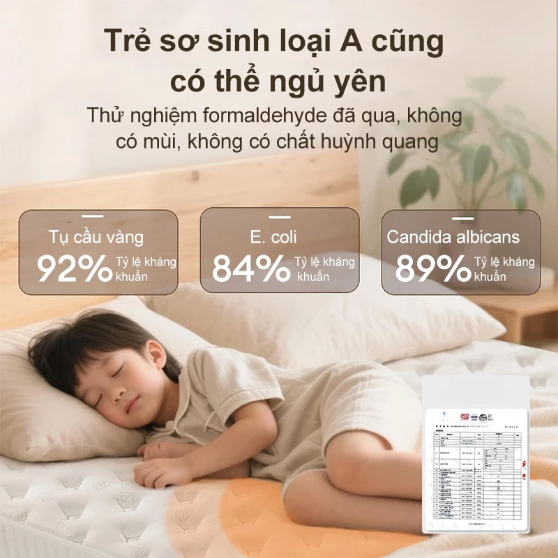 LUMOO Nệm lò xo túi độc lập 16cm 1m6×2m Tiêu chuẩn khách sạn 5 sao - 3