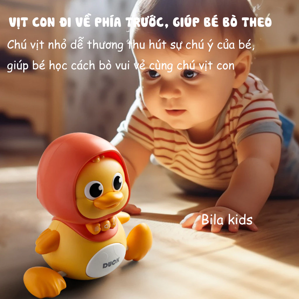 =C2669 - 5